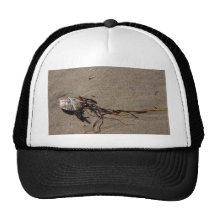 Shells And Seaweed Hats