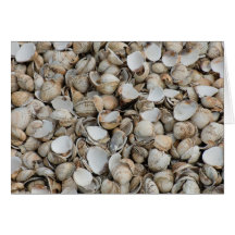 Shells background card