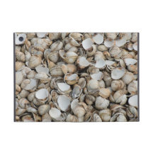 Shells background cases for iPad mini