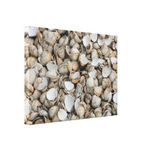 Shells background gallery wrap canvas