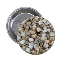 Shells background pins