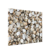 Shells background stretched canvas prints