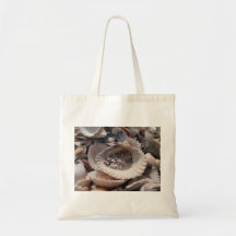 Shells Bag