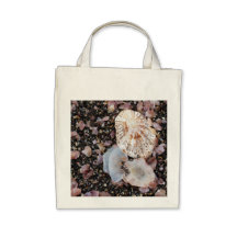 Shells Bags