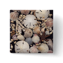 Shells Pinback Button