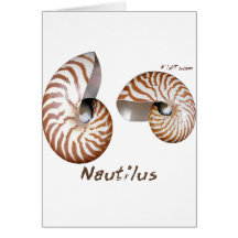 Shells Collection by FishTs.com Greeting Cards