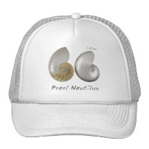 Shells Collection by FishTs.com Mesh Hats
