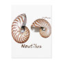 Shells Collection by FishTs.com Post Card