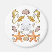 Shells Galore Magnet