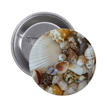 Shells Of Sanibel Pin
