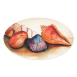 Shells of Summer