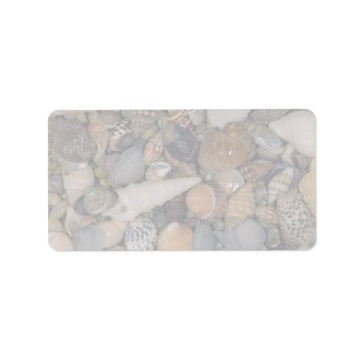 Shells of the World Shell Address Label