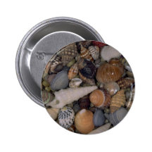 Shells of the World Shell Buttons