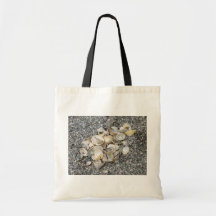 Shells On A Cornish Beach Canvas Bag