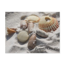 Shells Post Card