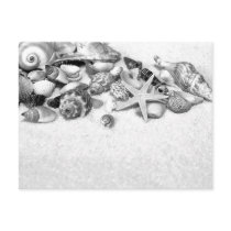 Shells & Starfish Postcard