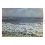 shellspima11173492-0010 cards