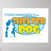 Shelter Dog Poster