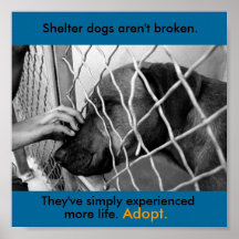 Shelter Dogs Poster