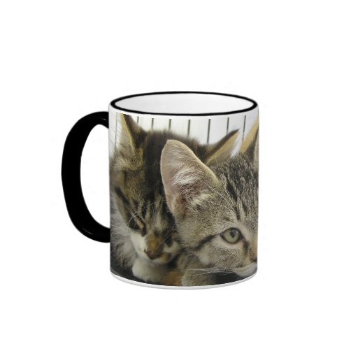 Shelter Kittens Mugs