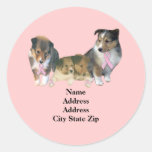Sheltie Breast Cancer Address Label Stickers