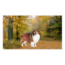 Sheltie Breeder Business Card