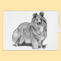 Sheltie cards