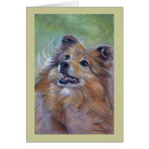 Sheltie Kaarten