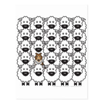 Sheltie chez les moutons cartes postales
