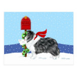 Sheltie Christmas Mail Bi Black Post Cards