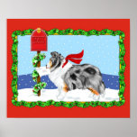 Sheltie Christmas Mail Blue Merle Poster