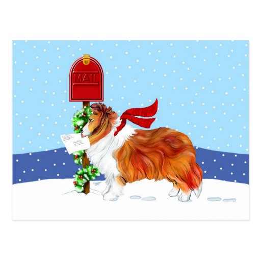 Sheltie Christmas Mail Sable Post Card