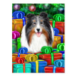 Sheltie Christmas Open Gifts Blue Merle Postcard