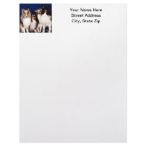 Sheltie Group Letterhead Template