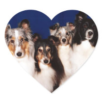 Sheltie Group Heart Sticker