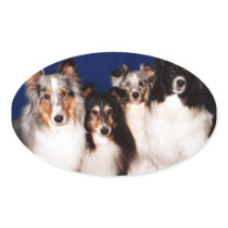 Sheltie Group Oval Sticker