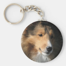 Sheltie head study keychain