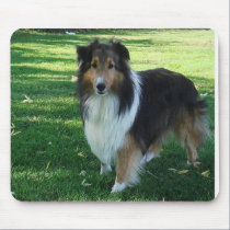 sheltie_mpad1 mousepads