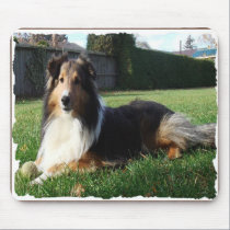 sheltie_mpad2 mousepads