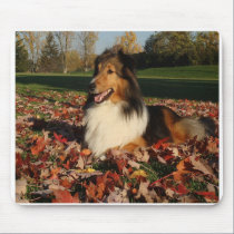 sheltie_mpad3 mousepads