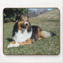 sheltie_mpad4 mousepads