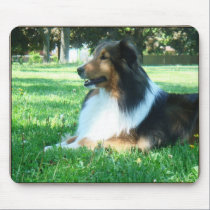 sheltie_mpad5 mousepads