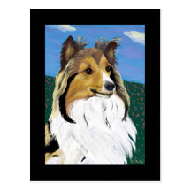 Sheltie postcard