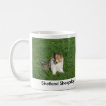 Sheltie puppy sitting in grass coffee mug