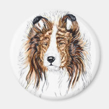 Sheltie Shetland Sheepdog Bust Refrigerator Magnets