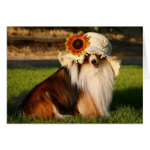 Sheltie with Hat Greeting Cards