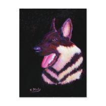 Shepherd profile postcards