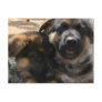 Shepherd Puppies Postcard