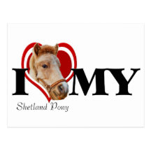 Shetland Pony In Heart-Red-Postcard