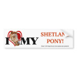 Shetland Pony In Red Heart-Bumper Sticker